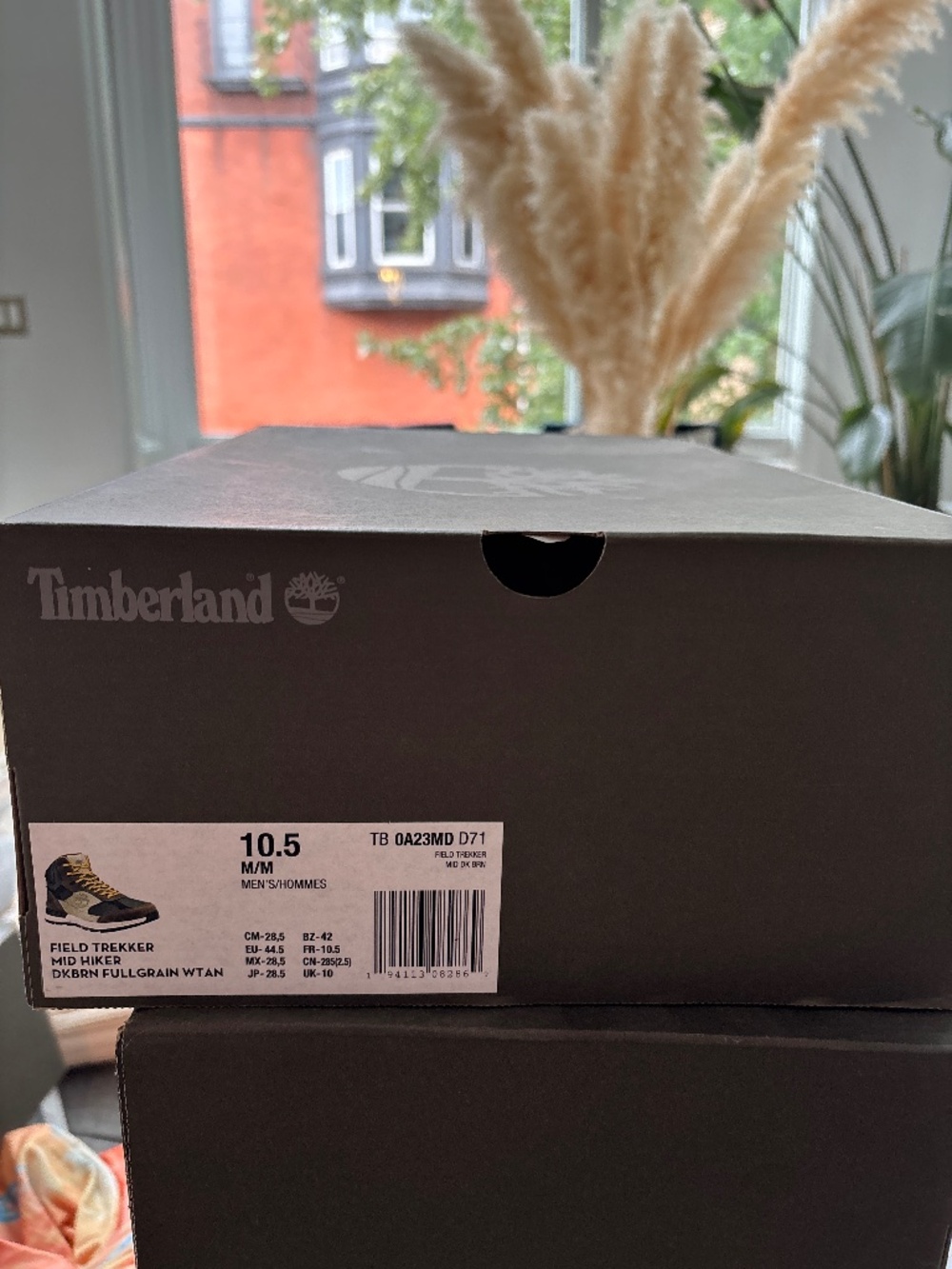 Timberland Field Trekker